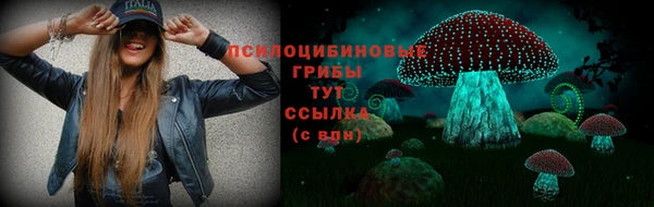 крисы Арсеньев