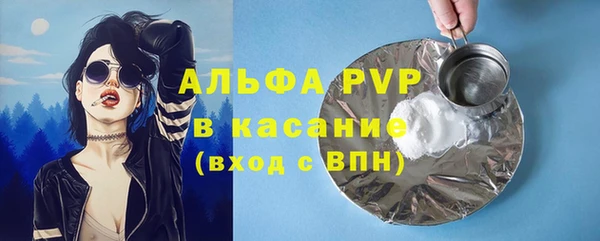 сатива Аркадак