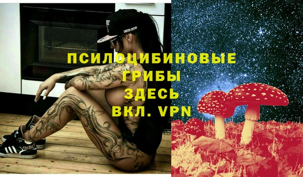 метадон Армянск
