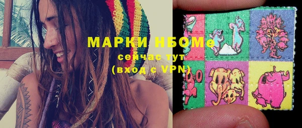сатива Аркадак