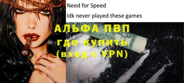 сатива Аркадак