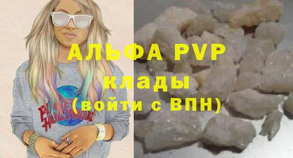 сатива Аркадак