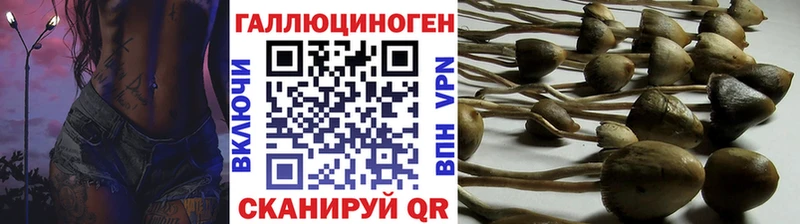 Псилоцибиновые грибы Psilocybine cubensis Починок
