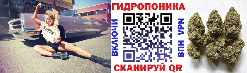 Шишки марихуана White Widow  Купить закладки  Починок 